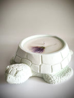 "Lime" scented candle