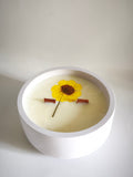 Vela aromática "Lorett"