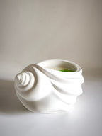Vela aromática "Lina"
