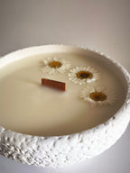 Vela aromática "Isadora"