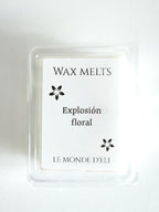 Wax melts - Fruit explosion